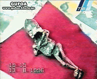 85_1.gif