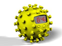 b6.jpg
